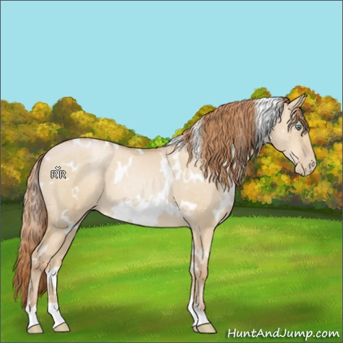 Horse Color:White Spotted Smoky Grullo Pearl Rabicano 