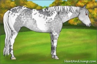 Horse Color:Silver Black Chinchilla Tobiano 