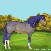 Horse Color:Watercolor Brown 
