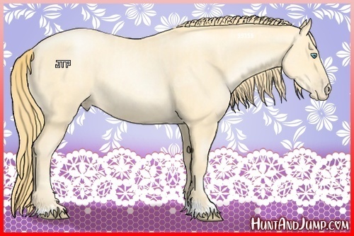 Horse Color:Buckskin Roan Pearl and Buckskin Roan Pearl