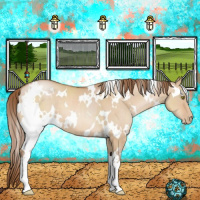 Horse Color:White Spotted Brown Pearl Dun 