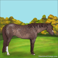 Horse Color:Platinum Chocolate Brown 