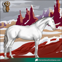 Horse Color:White Spotted Liver Chestnut Appaloosa 