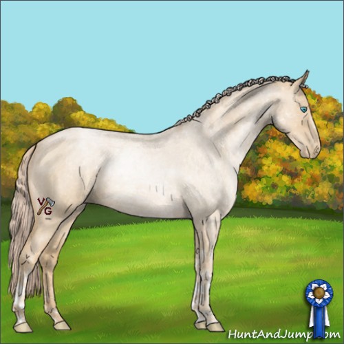 Horse Color:Palomino Roan Pearl 