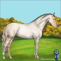 Horse Color:Palomino Roan Pearl 