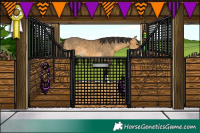 Horse Color:Buckskin Dun 