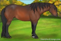 Horse Color:Brown 