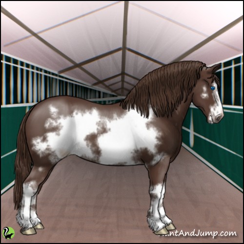Horse Color:White Spotted Liver Chestnut Frame 