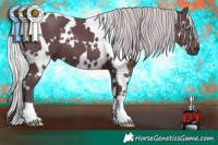 Horse Color:White Spotted Chocolate Silver Black Chinchilla 