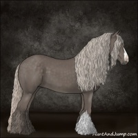 Horse Color:Silver Black 