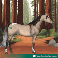 Horse Color:Brown Dun Tobiano Rabicano 