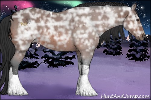 Horse Color:Brown Ice Tobiano 