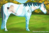 Horse Color:Thunderstruck Bay Onyx Splash Tobiano 