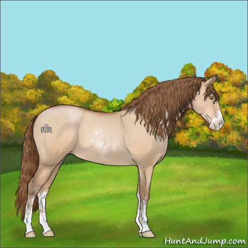 Horse Color:Brown Pearl Dun Sabino