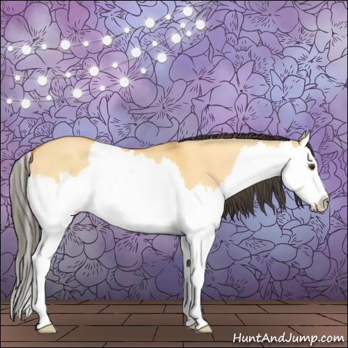 Horse Color:Buckskin Dun Splash 