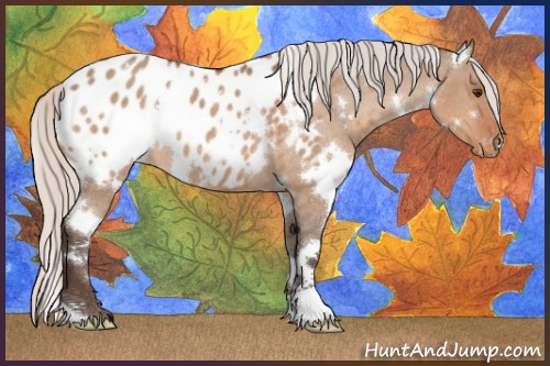 Horse Color:White Spotted Silver Brown Roan Dun Blanket 