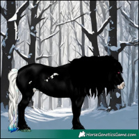 Horse Color:Watercolor White Spotted Silver Brown Chinchilla Ice Dun Appaloosa 