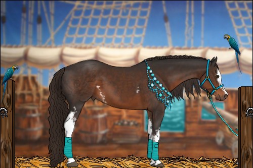 Horse Color:White Spotted Liver Chestnut 