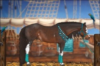 Horse Color:White Spotted Liver Chestnut 