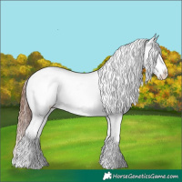 Horse Color:Bay Dun Mushroom Varnish 