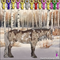 Horse Color:White Spotted Silver Brown Dun Splash Brindle