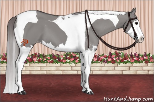 Horse Color:Platinum Smoky Grullo Sabino Splash Tobiano Appaloosa 