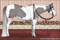 Horse Color:Platinum Smoky Grullo Sabino Splash Tobiano Appaloosa 