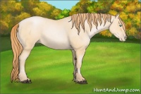 Horse Color:Buckskin Pearl 