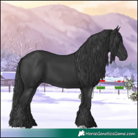 Horse Color:Black 