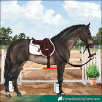 Horse Color:Brown 