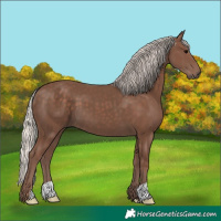Horse Color:Silver Black 