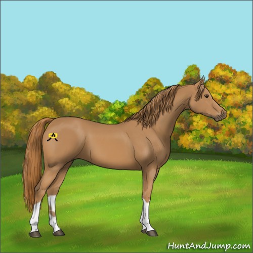 Horse Color:Chestnut Tobiano 