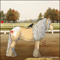 Horse Color:White Spotted Palomino Blanket Rabicano 