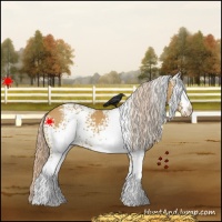 Horse Color:White Spotted Palomino Snowcap 