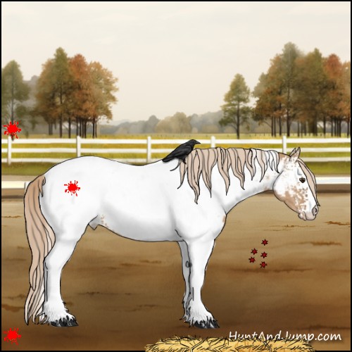 Horse Color:White Spotted Red Dun Tobiano Near Fewspot 