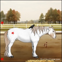Horse Color:White Spotted Red Dun Tobiano Near Fewspot 