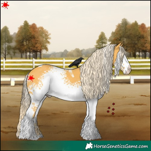 Horse Color:White Spotted Palomino Tobiano 