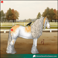 Horse Color:White Spotted Palomino Tobiano 
