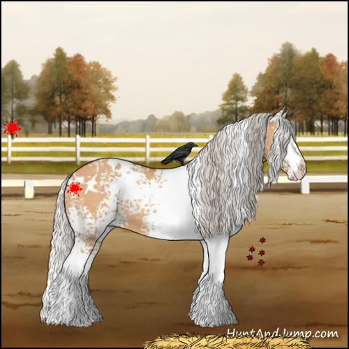 Horse Color:White Spotted Silver Bay Dun