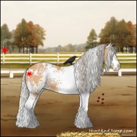 Horse Color:White Spotted Silver Bay Dun