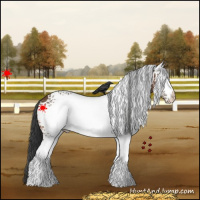 Horse Color:White Spotted Bay 
