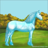 Horse Color:Thunderstruck Black Sabino Splash 