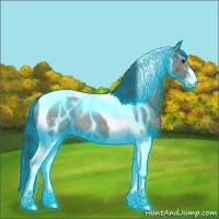 Horse Color:Thunderstruck Grullo Sabino Tobiano 