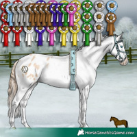 Horse Color:White Spotted Buckskin Pearl Appaloosa 