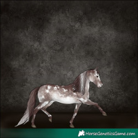 Horse Color:Platinum White Spotted Chocolate Brown Dun 