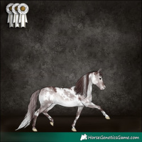 Horse Color:Platinum White Spotted Chocolate Brown Dun 