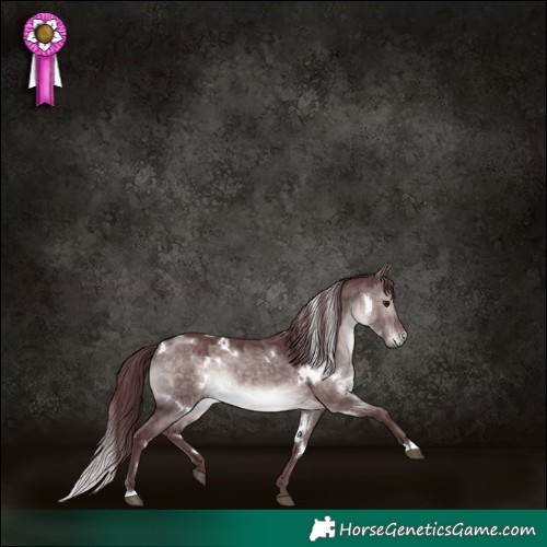Horse Color:Platinum White Spotted Chocolate Brown Dun 