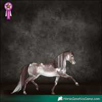 Horse Color:Platinum White Spotted Chocolate Brown Dun 