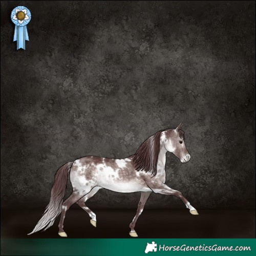 Horse Color:Platinum White Spotted Chocolate Brown Dun 
