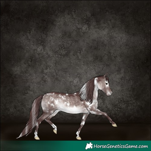 Horse Color:Platinum White Spotted Chocolate Brown Dun